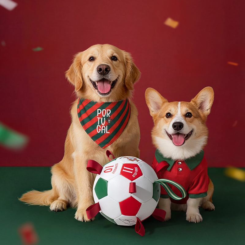 Portugal FPF Pet Soccer Ball Tug Toy